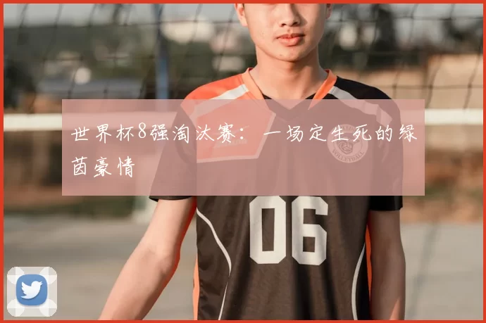 世界杯8强淘汰赛:一场定生死的绿茵豪情