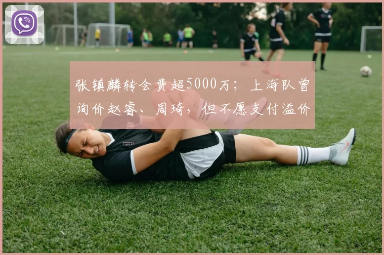 张镇麟转会费超5000万;上海队曾询价赵睿、周琦,但不愿支付溢价