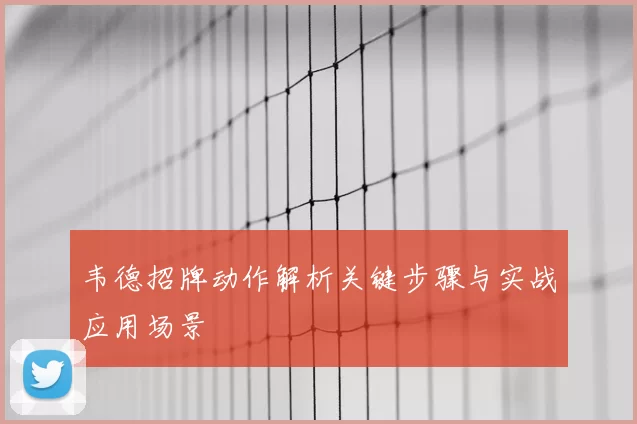 韦德招牌动作解析关键步骤与实战应用场景