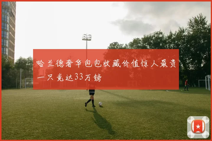 哈兰德奢华包包收藏价值惊人最贵一只竟达33万镑