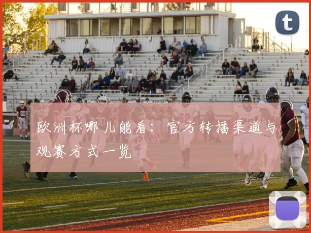 欧洲杯哪儿能看：官方转播渠道与观赛方式一览
