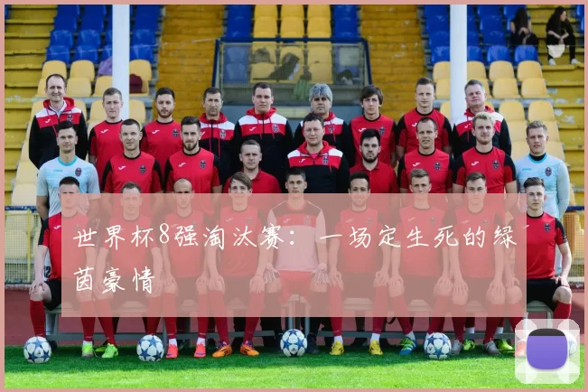 世界杯8强淘汰赛:一场定生死的绿茵豪情